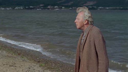 Le dernier havre Bild 4