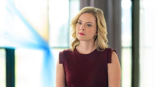 Marrying Mr. Darcy Bild 6