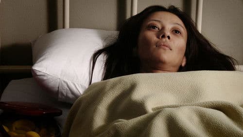 채식주의자 Bild 8