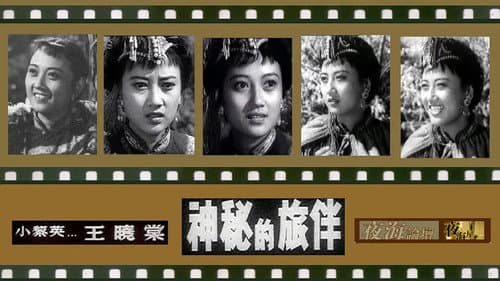 神秘的旅伴 Bild 1