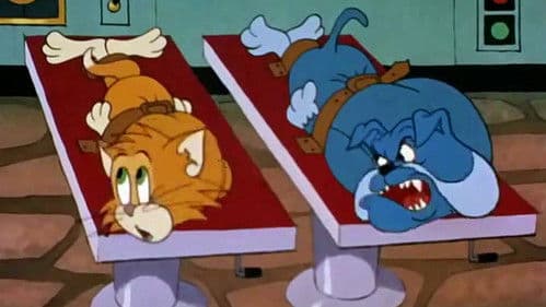 Tom der Bell-ami Bild 1