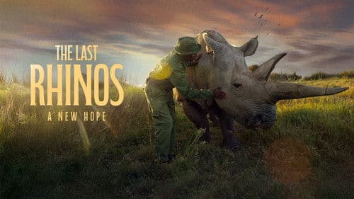 The Last Rhinos: A New Hope Bild 1