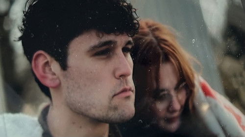 Despite Everything Bild 5