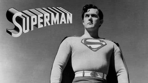 Im Netz der schwarzen Spinne Bild 4