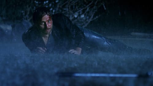 You Missed Sonja Bild 1