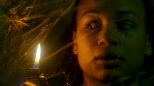 Spiders - Ihr Biss ist der Tod Bild 6