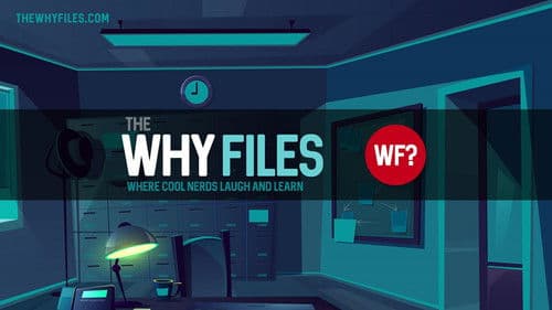 The Why Files Bild 2