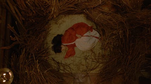 Khế Ước Bán Dâu Bild 2