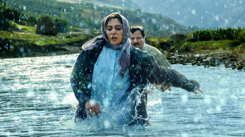 در آغوش درخت Bild 1