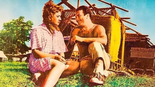 Oy Farfara Farfara Bild 1