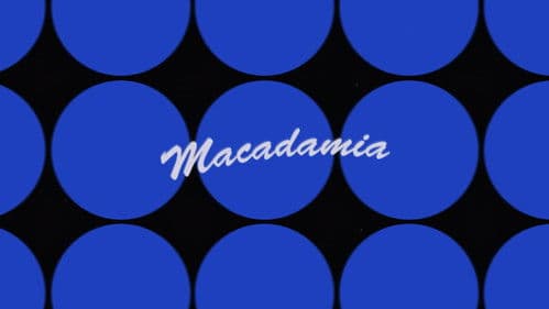 Macadamia Bild 1