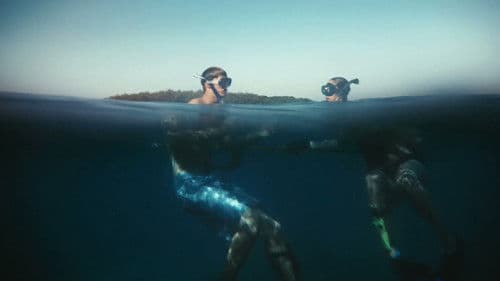 Dark Beach - Insel des Grauens Bild 2