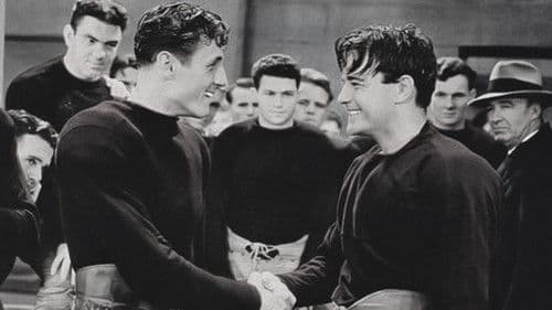 The Spirit of Notre Dame Bild 5