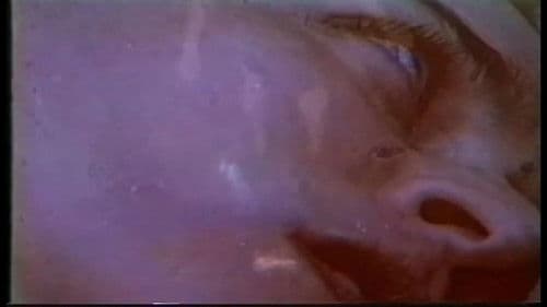 Como uma Onda no Mar Bild 4