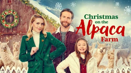 Weihnachten auf der Alpakafarm Bild 2