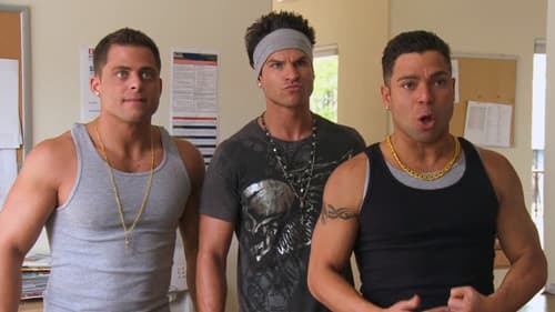 Jersey Shore Shark Attack Bild 2