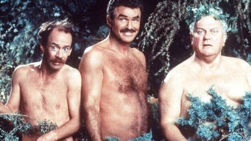 Daddy schafft uns alle Bild 3