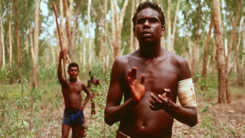 Yolngu Boy Bild 1