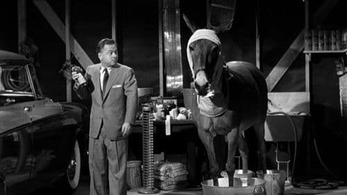 Francis in the Haunted House Bild 7