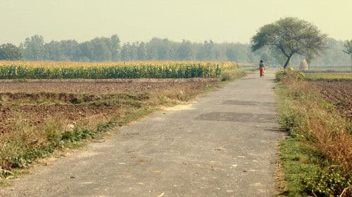 Le Champ de Maïs Bild 3