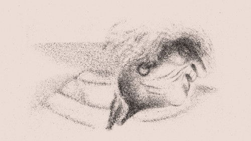 Chloé Van Herzeele Bild 1