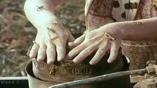 Der Tag, an dem die Heuschrecken kamen Bild 1