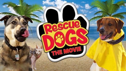 Rescue Dogs Bild 1