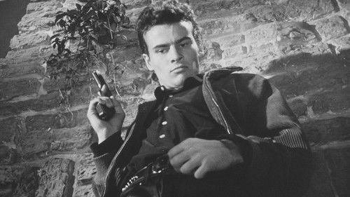 Die Halbstarken Bild 1