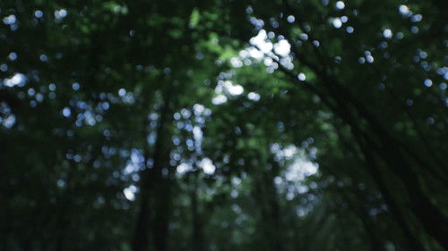 Lo Que Queda en la Tierra Bild 4