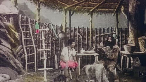 Les Aventures de Robinson Crusoé Bild 2