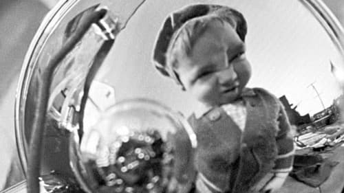 Das wilde Wagenrennen Bild 4