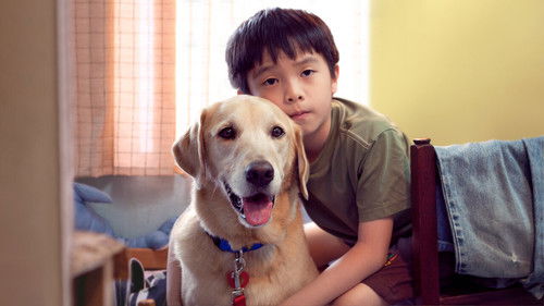 我的狗蚪蚪 Bild 2