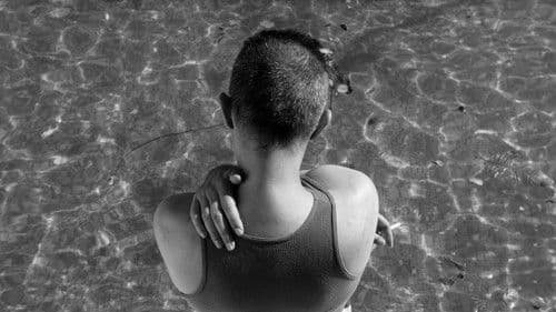 La sinfonía del sandwich Bild 4