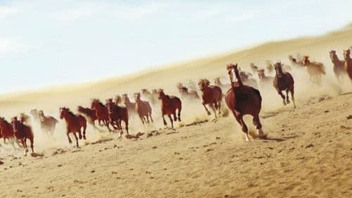 Luckys große Abenteuer Bild 2