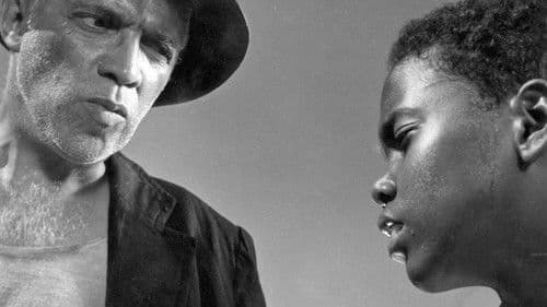 Rio, 40 Graus Bild 4