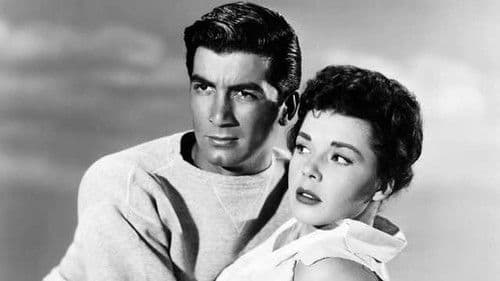 The Night Runner Bild 1