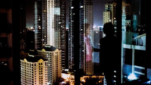 Im Schatten der Netzwelt Bild 4