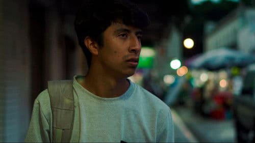 Capture Moment Bild 5