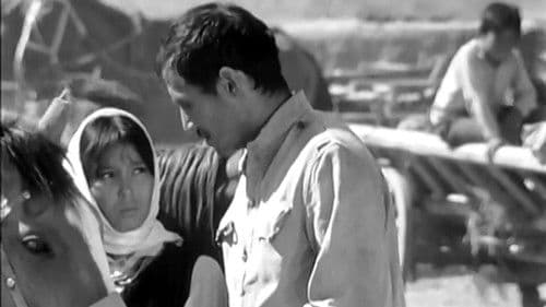 Sehnsucht nach Djamila Bild 2