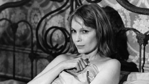 Schatten und Nebel Bild 3