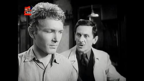 Námestie svätej Alžbety Bild 1