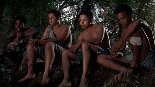 The Learning Tree Bild 7