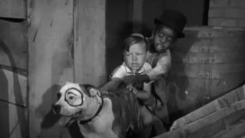 Eine wilde Seeräubergeschichte Bild 4