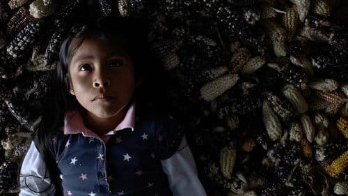 Valentina o la serenidad Bild 1