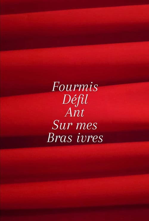 Fourmis défilant sur mes bras ivres.