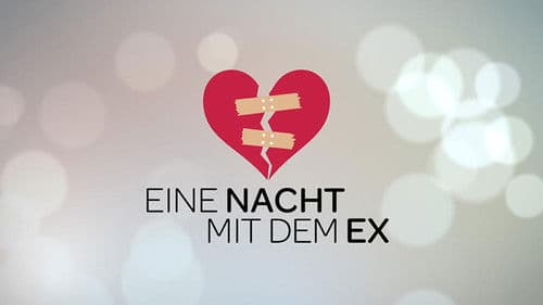 Eine Nacht mit dem Ex Bild 1