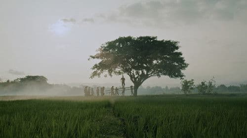 Bolong, 309 Hari Sebelum Tragedi Berdarah Bild 1