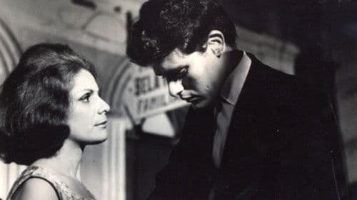 O Menino e o Vento Bild 2