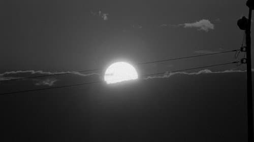 The Addiction Bild 2