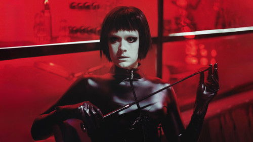 Dogs don't wear Pants Bild 1